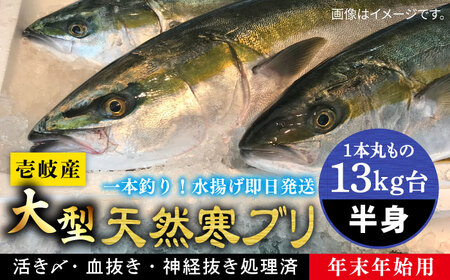 【11/1〜1/15お届け 年末年始用】壱岐島産天然寒ブリ（一本丸ものサイズ13キロ台 半身ブロック）《壱岐市》【壱岐島 玄海屋】[JBS122]