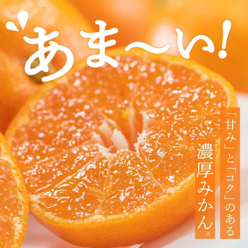 【先行受付】【2026年12月上旬～発送】川田柑橘園　呉市大長産「いしじみかん」5kg ku055-014-26
