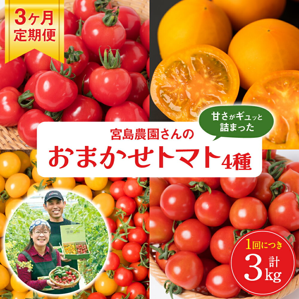 【ふるさと納税】【先行予約】 【定期便3回】おまかせトマト4種 3kg×3回 計9kg 八代市産 宮島農園 ミニトマト トマト とまと 農産物 野菜 セット 詰め合わせ 定期便 熊本県 八代市 送料無料 【2025年12月上旬より順次発送】