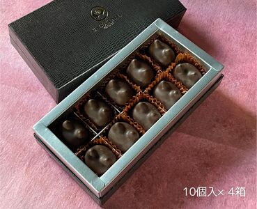 しょこら亭 猫チョコ（jomon）10個入×4セット お菓子 菓子 スイーツ チョコレート 贈答 1Z37070