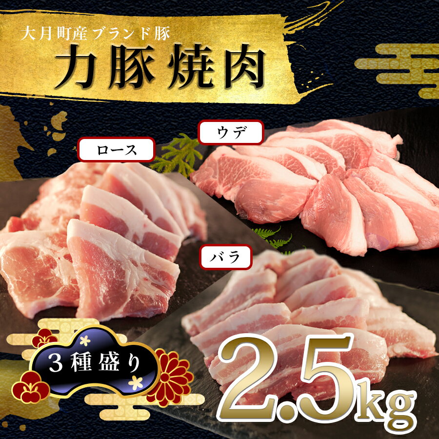 【ふるさと納税】国産 豚肉 焼肉 3種盛 2.5kgセット｜バラ900g (300g×3P) ウデ600g (200g×3P) ロース1kg (200g×5P) 力豚 小分け ブランド豚 焼き肉 BBQ 真空 冷凍 ポーク お取り寄せ 配達日指定可 おすすめ 人気 高知県
