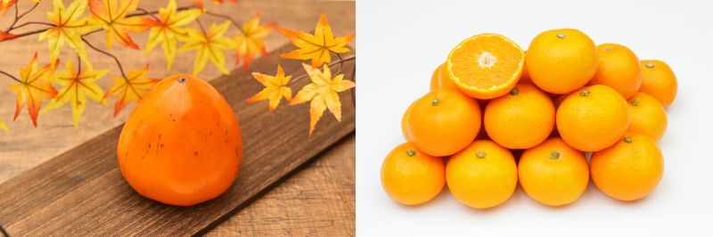 【ふるさと納税】【先行受付】八幡浜産「富士柿2.5kg」「温州みかん3kg」旬の果物食べ比べセット【C56-51】 柿 みかん 食べ比べ フルーツ くだもの 果物 青果 甘い 旬 期間限定 産地直送 産直 冷蔵 【配送不可地域：離島・北海道・沖縄県】【1507521】YWTAS041