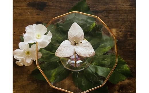 オオバナノエンレイソウのポニーフック(R4-Ⅰ94)