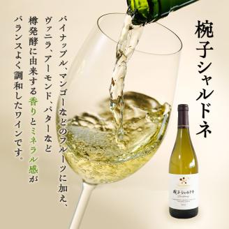 ワイン 椀子ヴィンヤードを味わう定番 セット 2本 椀子メルロー 椀子シャルドネ 750ml メルロー シャルドネ 白ワイン 赤ワイン お酒 酒 アルコール 飲み比べセット ギフト 贈り物 プレゼント