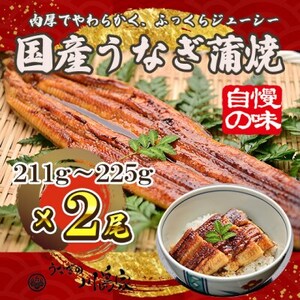 【冷凍2尾】岬町自慢の味　うなぎの川島家　国産うなぎ蒲焼　大サイズ(211g～225g)特製タレ付き【配送不可地域：離島】【1488340】