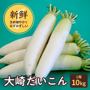 大崎だいこん１箱／１０キロ／瑞々しい／大根サラダ／大根おろし／おでん／いろいろな料理に／