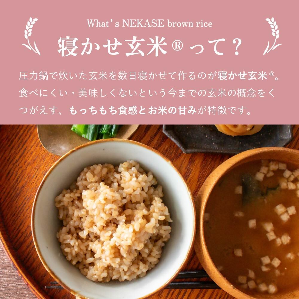 AI-187_【ふるさと玄米】寝かせ玄米ごはんパック　福岡県行橋市産【160g×6食セット】