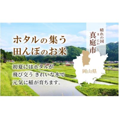 ふるさと納税 真庭市 【令和7年産】真庭市産 ひとめぼれ 無洗米 5kg |  | 02