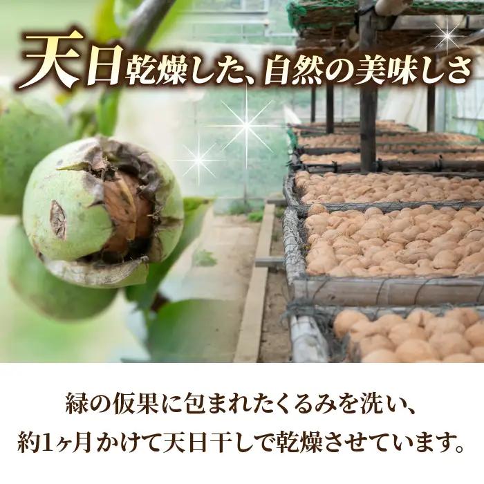 長野県産 殻つきくるみ約1.4kg（2026年収穫分）｜JA信州うえだ東部地区営農課 ※2026年11月下旬以降発送 胡桃 信濃くるみ ナッツ 家庭用 自宅用 おつまみ おやつ 無塩 無油 国産 信州