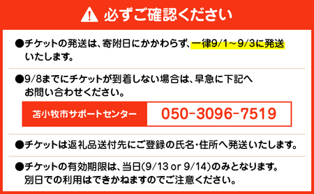 苫小牧 ミライフェスト2025 単日 チケット（ 2025年9月13日分 ） T042-007-01 フェス イベント コンサート 音楽 ライブ ダンス アイドル バンド エンタメ プライベート 思い