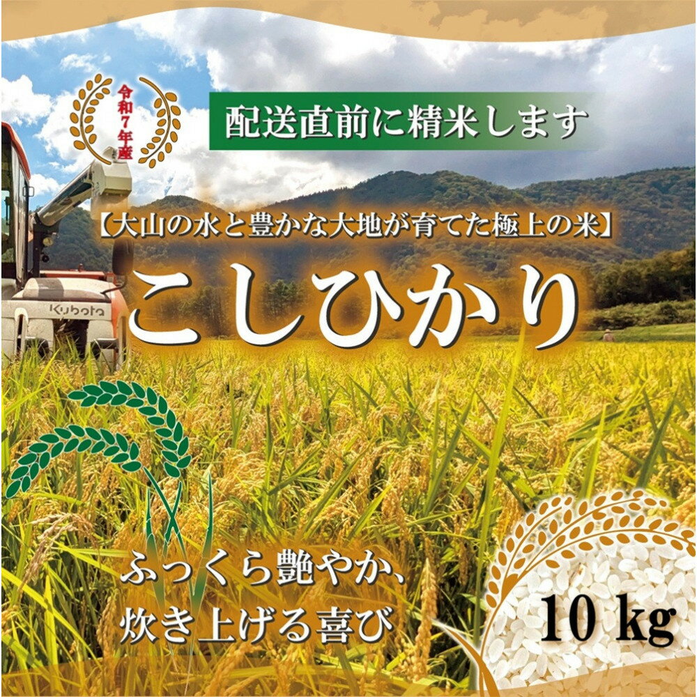 【ふるさと納税】令和7年産　山崎農園こしひかり10kg