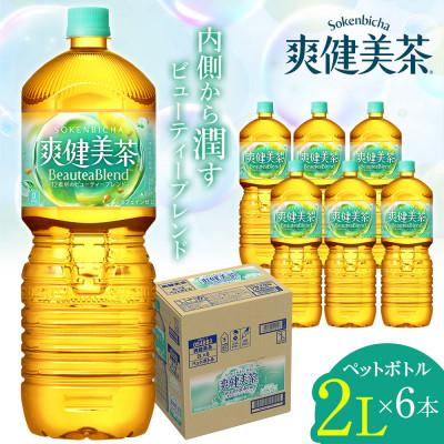 ふるさと納税 東海市 日本コカ・コーラ 爽健美茶 2L 6本 ペットボトル ケース