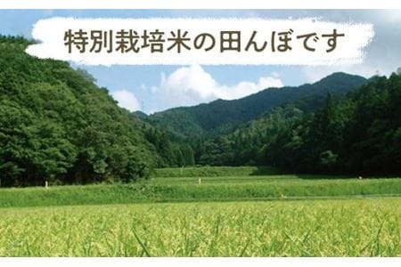 【特A減農薬・スピード出荷 】 特別栽培米 コシヒカリ 越光 5kg こしひかり [Y030-2602]
