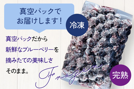 冷凍 ブルーベリー (真空パック保存) 1kg パック(500g×2) A016-012
