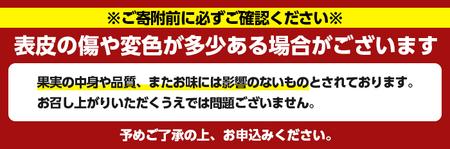 ＜先行予約受付中！2027年1月上旬以降順次発送予定＞数量限定！紅さわ香(10kg) 国産 鹿児島県 阿久根市 果実 果物 フルーツ 柑橘 紅甘夏 みかん ミカン 期間限定 数量限定【桐野柑橘株式会社
