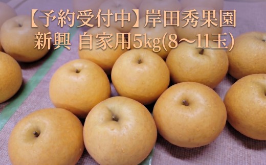 【予約受付中】岸田秀果園 新興 自家用5㎏