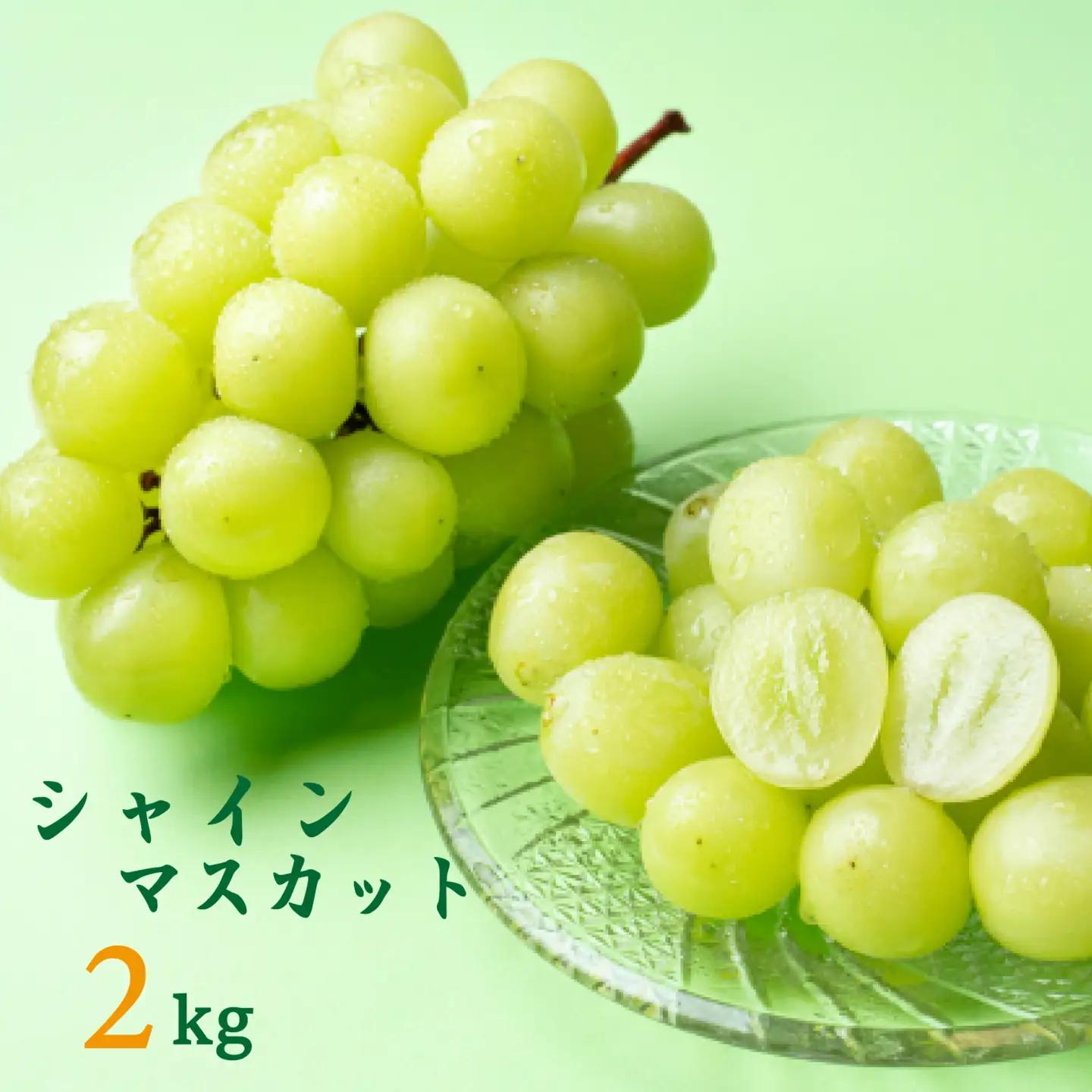 ぶどう 小林市産シャインマスカット　約2㎏