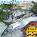 【ふるさと納税】鮮魚詰め合わせセット 旬の魚3~4種類 2~3kg 株式会社マルキ寄島魚市場《30日以内に出荷予定(土日祝除く)》岡山県 浅口市 瀬戸内海産 海鮮【配送不可地域あり】