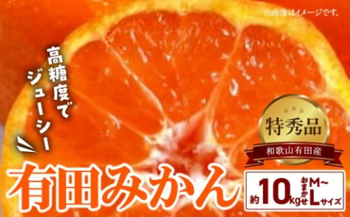 BD6034n_【2026年先行予約】高糖度 有田みかん 特秀品 10kg (M～Lサイズおまかせ)【ミカン 蜜柑 柑橘 温州みかん 有田みかん 和歌山】