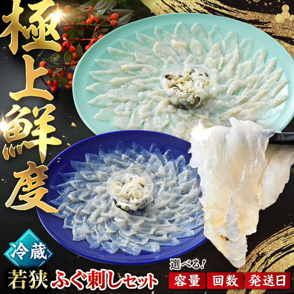 【ふるさと納税】【TVで紹介されました】【選べる容量】【冷蔵】若狭ふぐ刺しセット 2人前/4人前 てっさ ふぐ皮 ひれ5枚付 とらふぐ 刺身 鮮度抜群 定期便対応【配送不可地域：北海道・沖縄・離島】 [BFAC007]