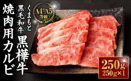 くまもと黒毛和牛 杉本本店 黒樺牛 A4~A5等級 焼肉用カルビ 250g