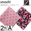 【ふるさと納税】smachi(スマチ) ノンアイロンハンカチ レディース 2枚 Aセット【VB01451】