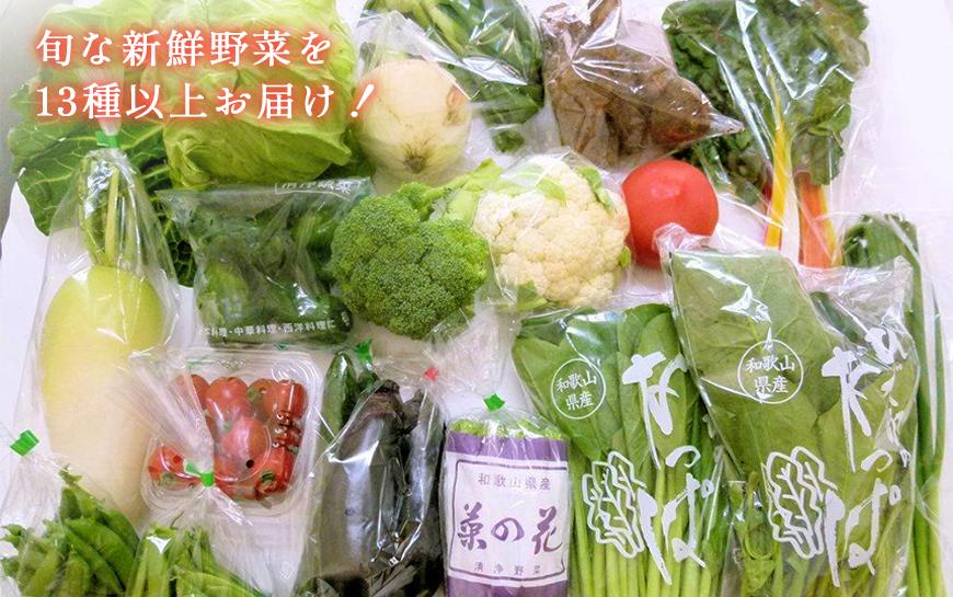 旬の新鮮野菜セット 大満足な13種以上【野菜詰め合わせ】