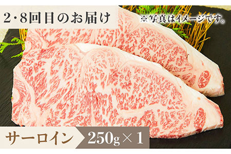 ＜12回定期便＞1ヶ月に1度の佐賀牛ひとり贅沢コース ステーキ/焼肉/スライス【ミートフーズ華松】 ブランド 高級 和牛 霜降り BBQ やわらか 冷凍 料理 しゃぶしゃぶ 鍋 精肉 牛肉 希少 赤身
