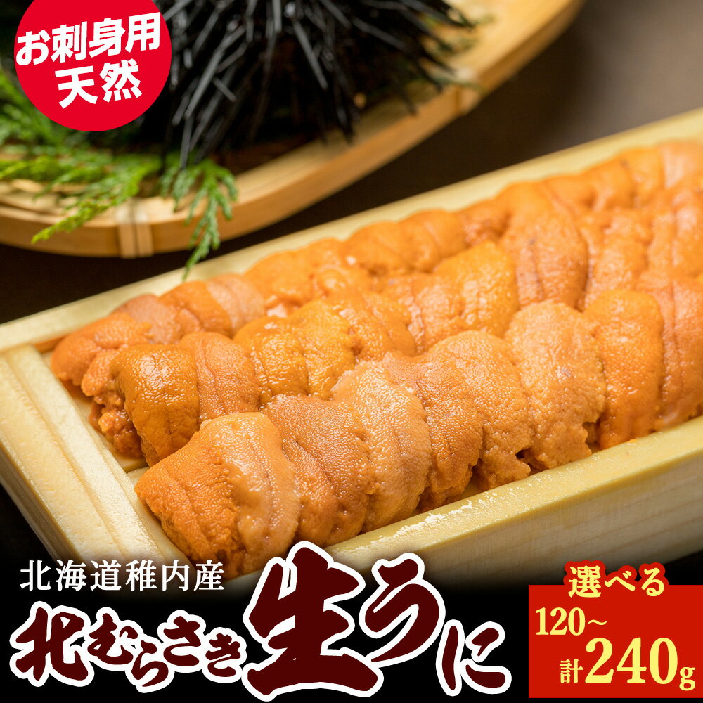 【ふるさと納税】『天然刺身用』北むらさきウニ 選べる120g～240g ウニ 刺身ムラサキウニ うに むらさきうに 海鮮 海産物 北海道ふるさと納税 稚内 ふるさと納税 北海道 【配送不可地域：離島・沖縄県】