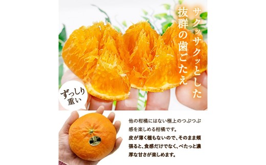 甘平 約2kg みかん ミカン 蜜柑 柑橘 柑橘系 柑橘類 くだもの 果物 フルーツ 果実 果汁 果肉 国産 愛媛県産 愛媛みかん かんぺい 果肉感 【2027年2月下旬-4月下旬発送予定】 ( 11