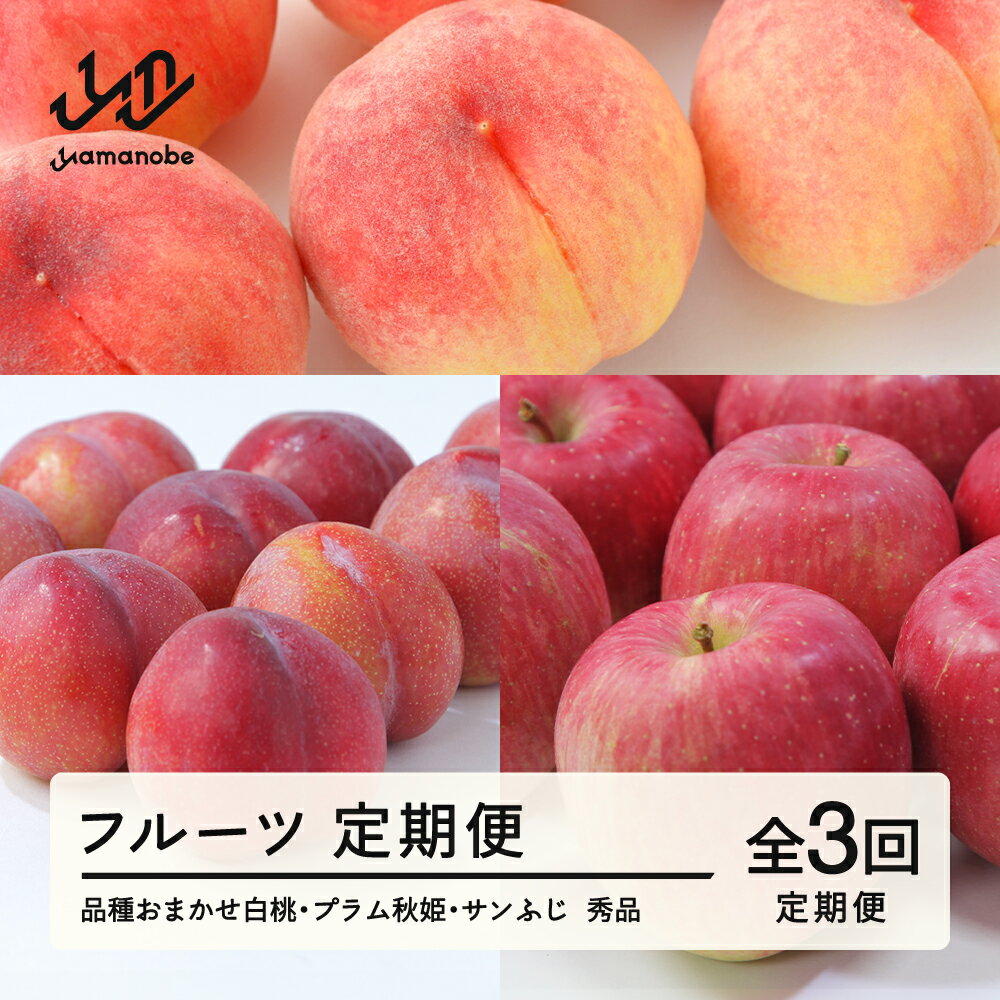 【ふるさと納税】 【先行予約】【フルーツ定期便】品種おまかせ白桃・プラム秋姫・サンふじ 秀品 全3回 tf-ft3hpr