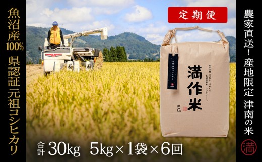 【 定期便 6ヶ月 】 米 5kg × 6回 令和7年産 魚沼産 コシヒカリ 県認証米 満作米 | ブランド米 お米 おこめ こめ コメ 白米 精米 おすすめ 人気 新潟県 津南町