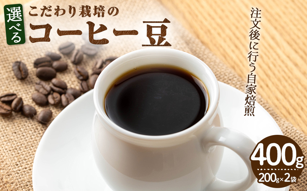 
            ＜種類が選べる＞こだわり栽培のコーヒー豆(計400g・200g×2袋)【m70-01・m70-02・m70-03・m70-04・m70-05】【N BLOOD COFFEE ROASTERS】
          