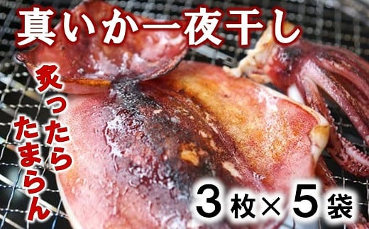 北三陸産 真イカの一夜干し 3枚入り×5袋 いか一夜干し いか イカ焼き イカ飯 BBQ イカゲソ