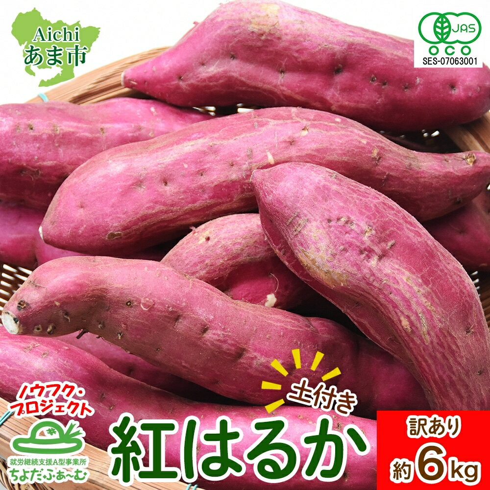 【ふるさと納税】【訳あり・土付き】さつまいも 紅はるか 常温便 約6kg ノウフク 冷蔵便 就労支援 農福 農福JAS 無農薬 有機JAS 有機栽培 オーガニック 野菜 新鮮 料理 旬 季節 無農薬 千代田ファーム 愛知県 あま市　お届け：2025年11月上旬～2026年2月中旬まで