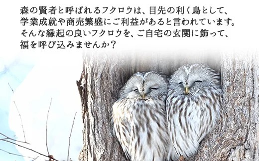 519.民芸品　世界に一つだけの木製名入れ　手作り　 表札 ふくろう （夫婦） 小サイズ 北海道 弟子屈町