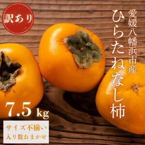 《秋の味覚 種なしで食べやすい》 訳あり ひらたねなし柿 7.5kg【D20-36】【1594868】