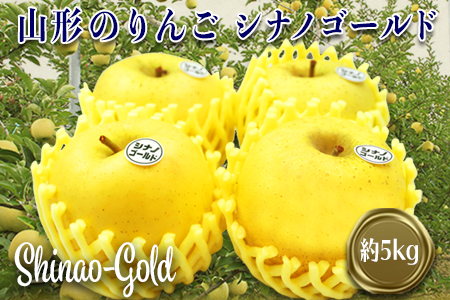 【2023年11月～12月発送】山形のりんご（シナノゴールド）約5kg