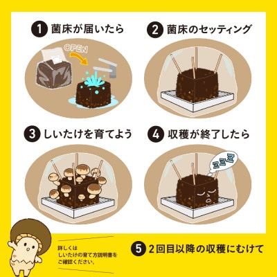 神河しいたけ栽培キット(しいたけ菌床)1個としいたけ粉セット　※10月〜4月発送【1355229】