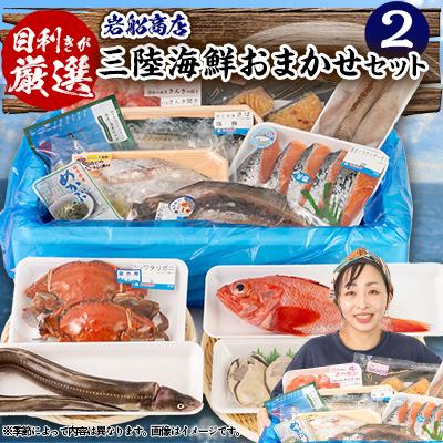 ふるさと納税 宮古市 【三陸厳選】岩船商店おまかせ海産物詰め合わせセット(2)