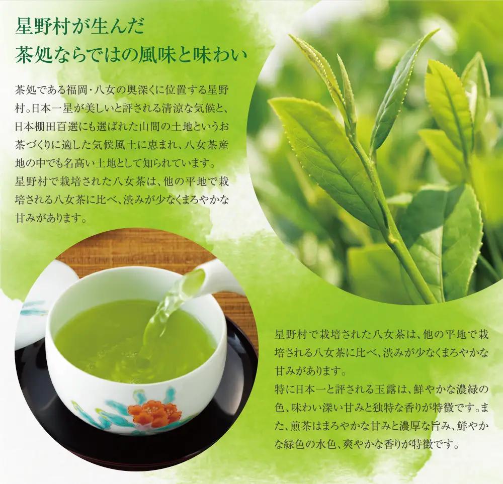 Z26-07 八女星野「星乃煌」(玉露・煎茶 各150g) 緑茶