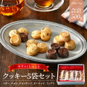 【ふるさと納税】クッキー サクッとしっとりクッキー 500g 小分け 5種類 1袋 100g おやつ 焼き菓子 洋菓子 お取り寄せスイーツ チョコ ピーナッツ バター ミックス しっとり 手土産 贈答 常温 宮崎県 延岡市 送料無料