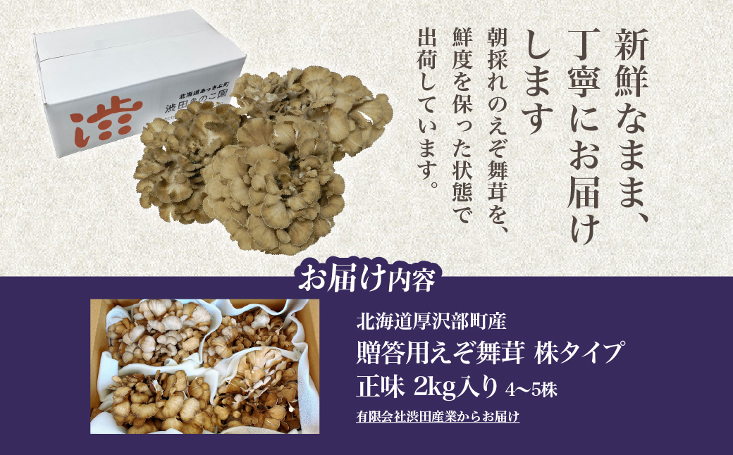 北海道厚沢部町産 贈答用えぞ舞茸（株タイプ）正味2kg入り（4〜5株） ASM008
