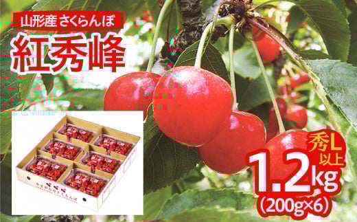 山形産 さくらんぼ(紅秀峰) L以上 1.2kg(200g×6パック) 【令和7年産先行予約】FU21-677 フルーツ くだもの 果物 山形 山形県 山形市 2025年産