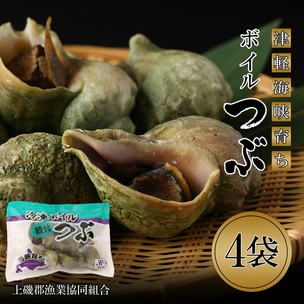 【ふるさと納税】【12月20日決済確定分まで年内発送】ボイルつぶ 4パックセット＜上磯郡漁業協同組合＞ 殻付き ツブ つぶ貝 青つぶ 海鮮 ボイル 魚貝類 知内町 ふるさと納税