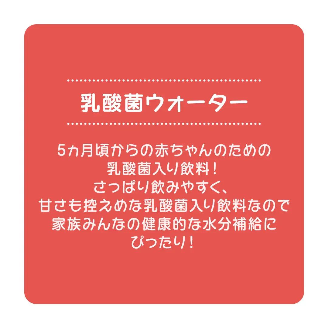 【 ピジョン 】 乳酸菌ウォーター 500ml×24本 ペットボトル飲料