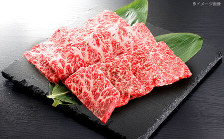 【3回定期便】長崎和牛 焼肉用 赤身スライス600g (モモ・ウデ 各300g)【株式会社 黒牛】[OCE097]