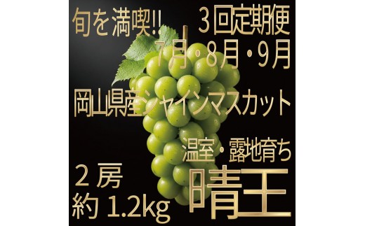 
                  [HS]【定期便全3回】ぶどう先行予約7月・8月・9月発送温室シャインマスカット晴王2房（合計約1.2kg）ブドウ 葡萄  岡山県産 国産 フルーツ 果物 ギフト デザート 食後 酸味が少ない 産地直送
                
