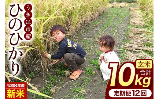 【ふるさと納税】令和8年度産 新米 玄米 ひのひかり 10kg 12ヶ月定期便 自然栽培 農薬不使用 米 お米 国産 ご飯 ごはん こめ コメ ヒノヒカリ 健康 食物繊維 腸活 ヘルシー 自然食品 ヴィーガン 家庭用 送料無料 福岡 お取り寄せ うきは市 人気 返礼品 ぶんぶんファーム