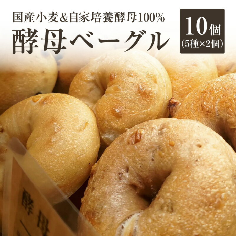 【ふるさと納税】《レビューキャンペーン》国産小麦＆自家培養酵母100％　酵母ベーグル5種×2個 パン ベーグル 身体にやさしい 自然素材 素朴 セット おやつ 朝食 国産 酵母 プレーン チョコ チーズ 胡桃 オレンジ 風味 食感 もちもち もっちり 食べ応え 冷凍 朝食 おやつ